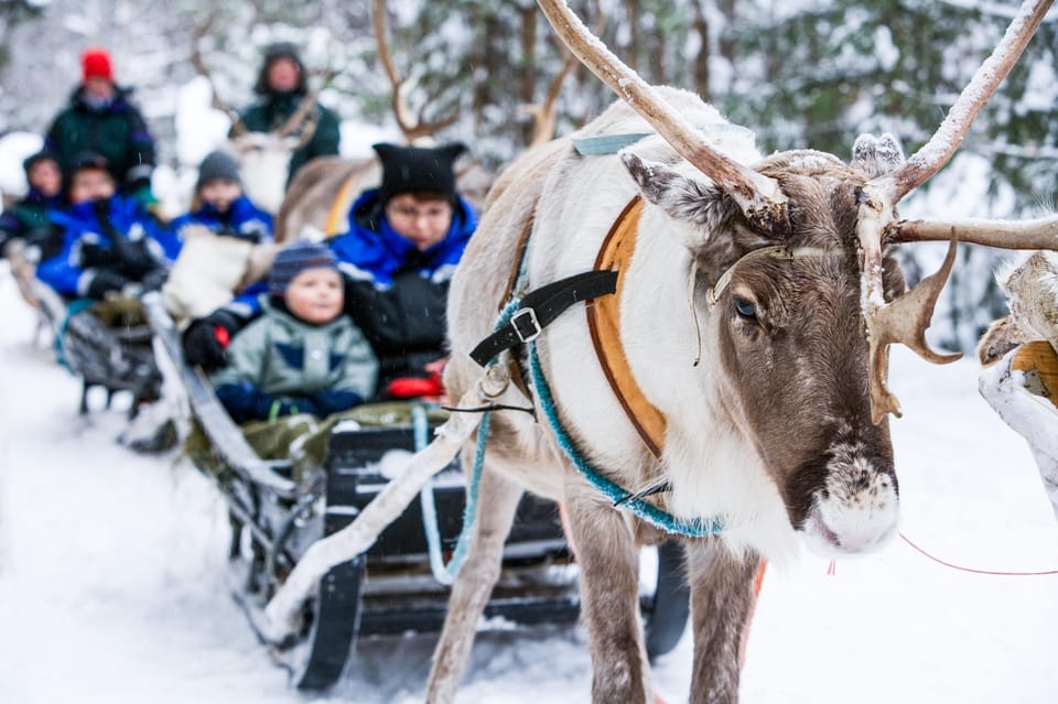 Rovaniemi: Reindeer Farm Visit and Sleigh Ride with transfer - The drive to Lapland: fast transfer, big scenery payoff