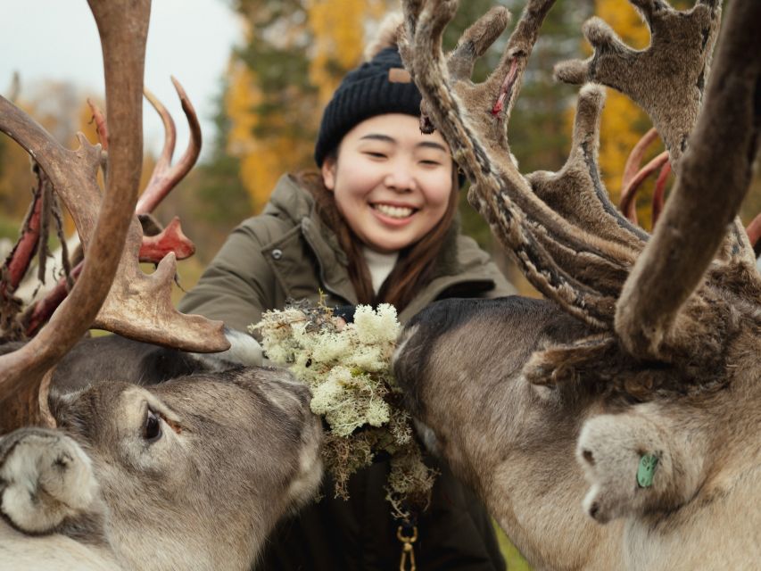 Rovaniemi: Reindeer Farm Visit with Photographer - Photographer-led snow portraits that look natural (not cheesy)