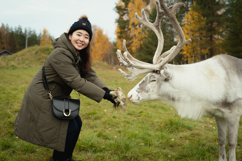 Rovaniemi: Reindeer Farm Visit with Photographer - The 3.5-hour flow: pickup, van ride, and farm timing that stays efficient