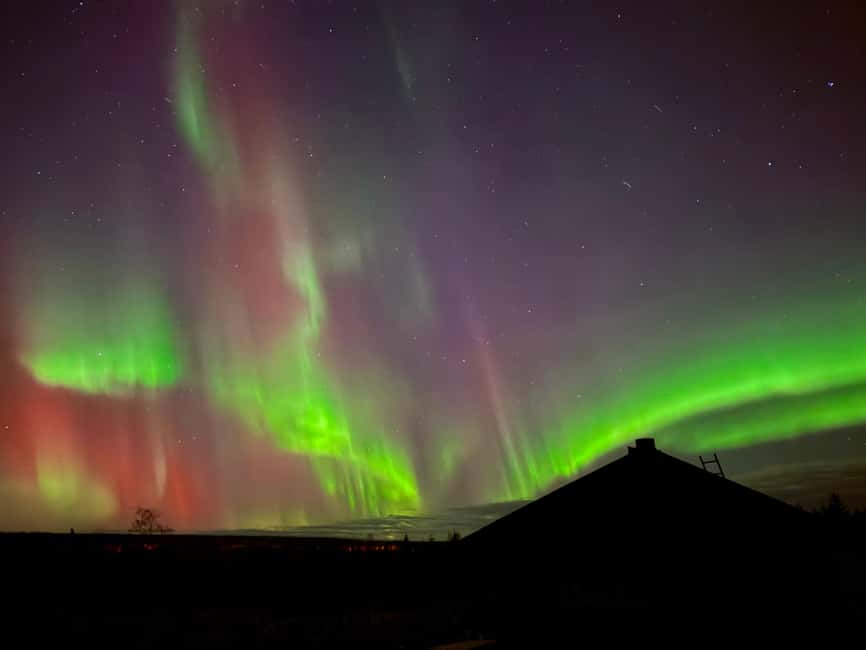 Rovaniemi: Reindeer, Huskies, Santa's Pets & Aurora Hunt - Should you book this Rovaniemi aurora and pets tour?