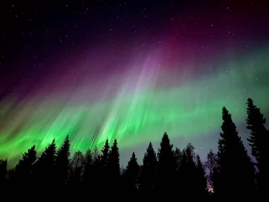 Rovaniemi: Reindeer, Huskies, Santa's Pets & Aurora Hunt - Who this tour suits best (and who should consider alternatives)