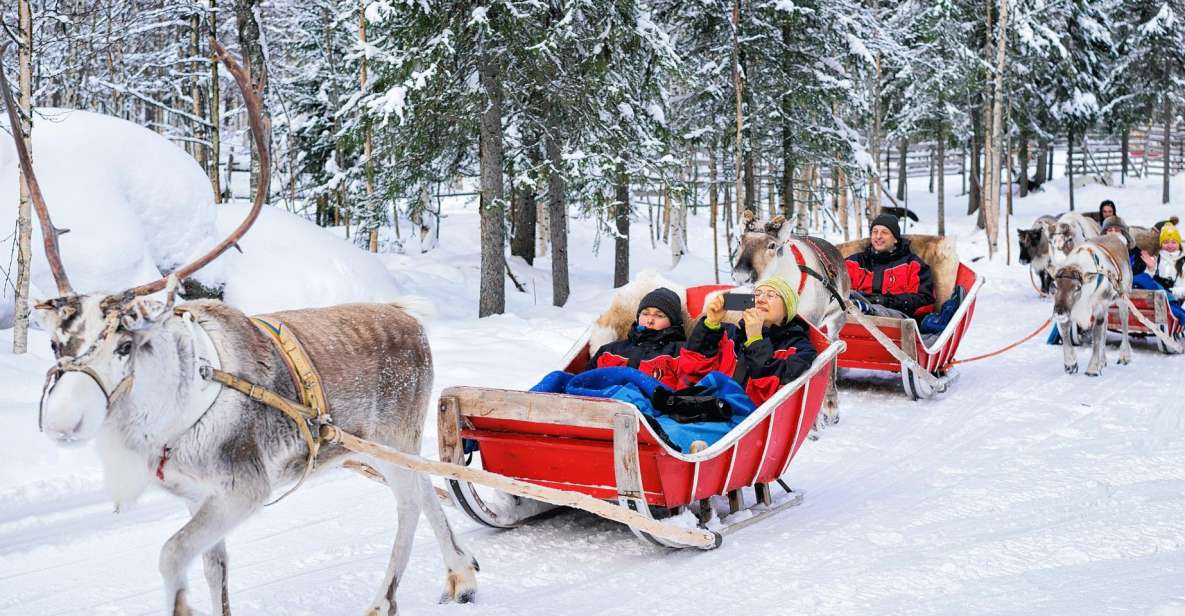 Rovaniemi: Reindeer Sleigh Ride with Hot Drink and Cookies - A 1.5 km frozen-forest sleigh ride near Rovaniemi