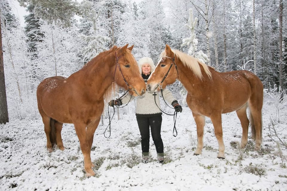 Rovaniemi: Riding Tour with Finnhorses at SCV - The kota hut stop: warm drinks, gingerbread cookies, and toasted marshmallows