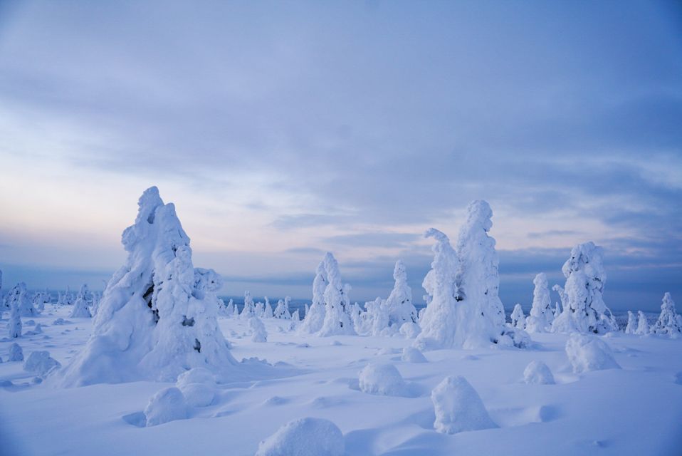 Rovaniemi: Riisitunturi National Park Day Trip with Lunch - Key highlights you’ll care about