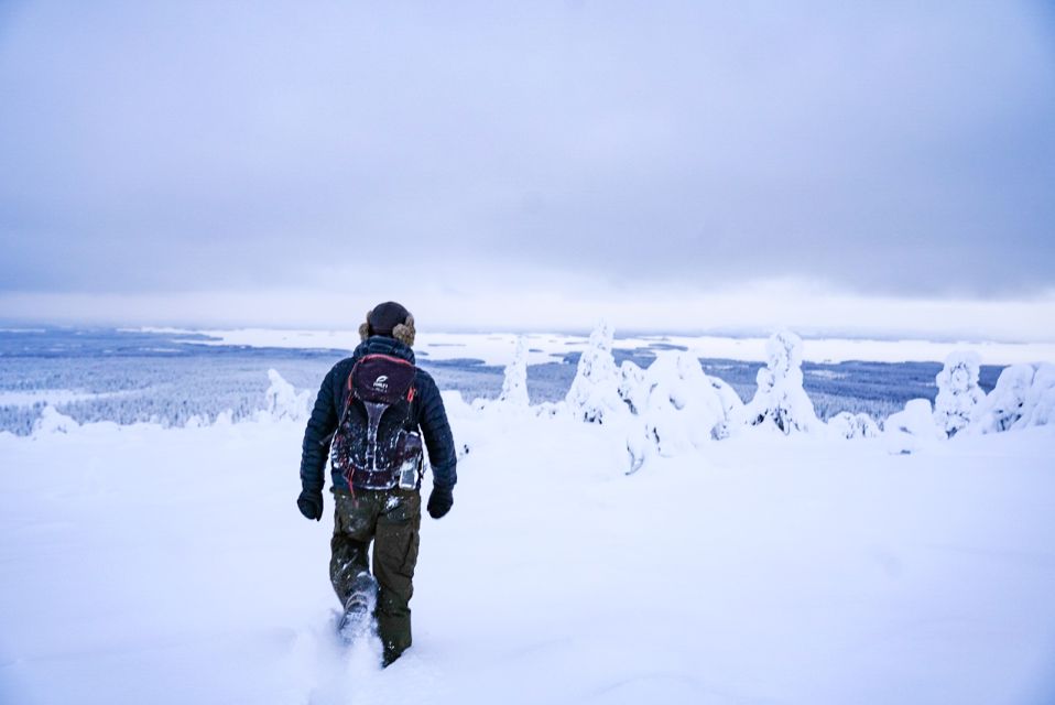 Rovaniemi: Riisitunturi National Park Day Trip with Lunch - The 4-kilometre snow walk: pace, photos, and snowshoe chances