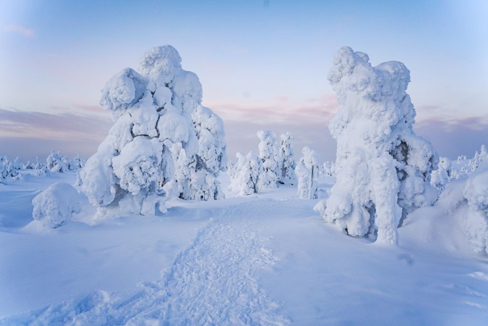 Rovaniemi: Riisitunturi National Park Day Trip with Lunch - Lunch by the BBQ: good warmth, but don’t assume it’s heavy