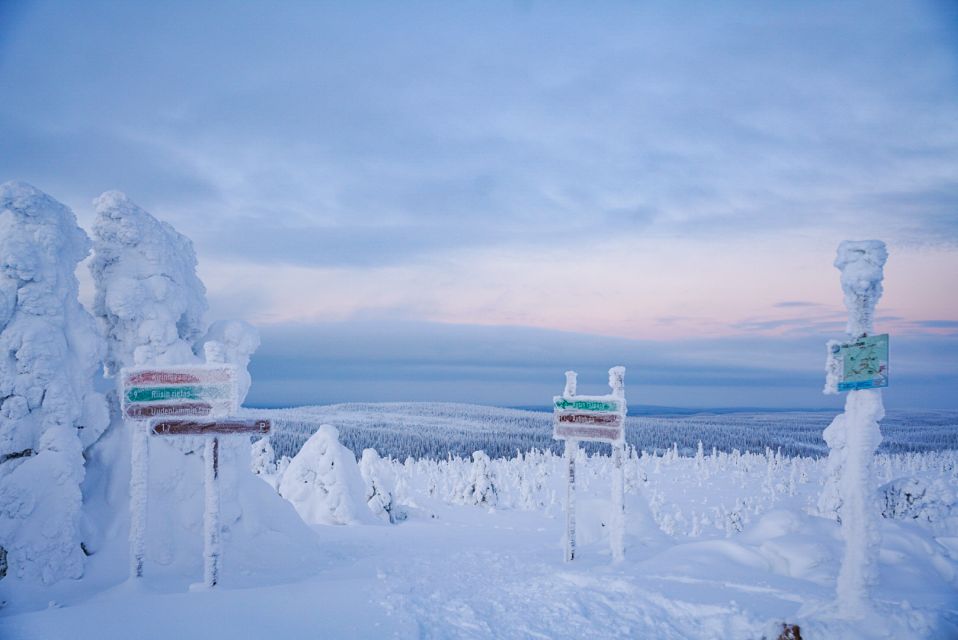 Rovaniemi: Riisitunturi National Park Day Trip with Lunch - Who this day trip suits best (and who should skip it)