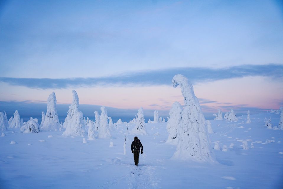 Rovaniemi: Riisitunturi National Park Day Trip with Lunch - Should you book Riisitunturi National Park with lunch from Rovaniemi?