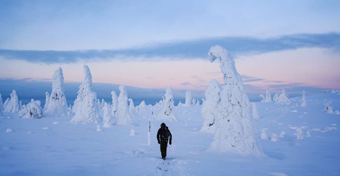 Rovaniemi: Riisitunturi National Park Day Trip with Lunch - Rovaniemi pickup, a comfortable drive, and the mood shift