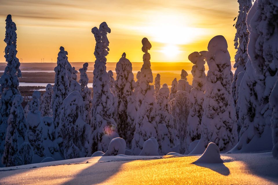 Rovaniemi: Riisitunturi National Park with Pro Photos & BBQ - Photography Stops That Make Your Day Easier (and Your Photos Better)