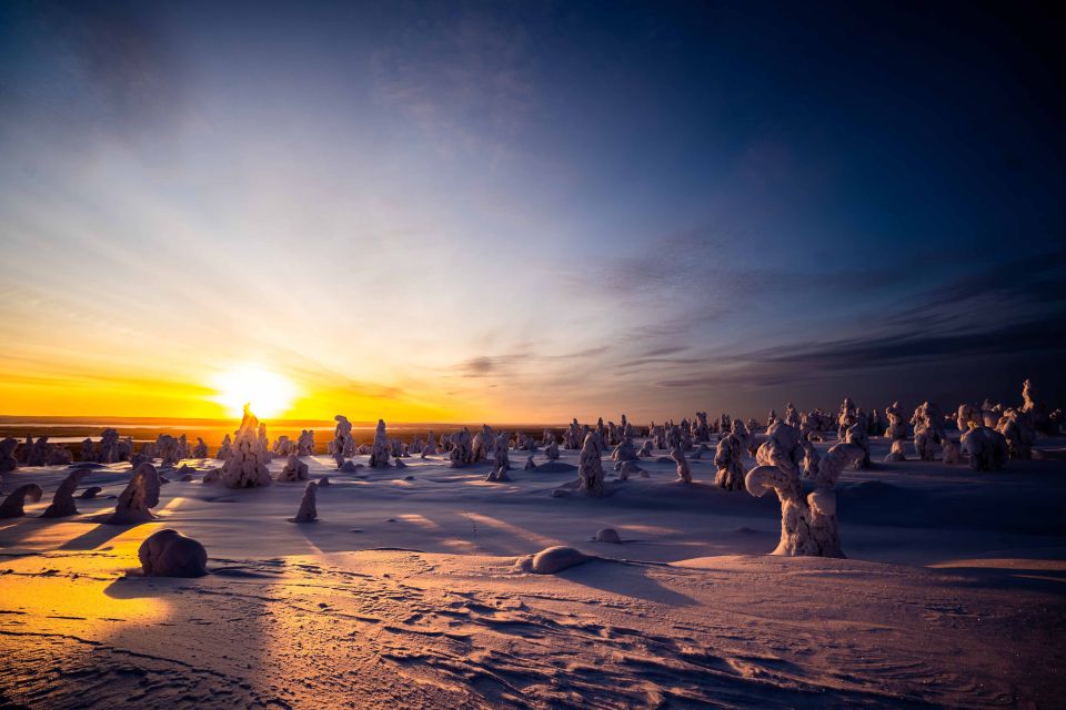 Rovaniemi: Riisitunturi National Park with Pro Photos & BBQ - BBQ Lunch in the Arctic: Warm Food, Real Lappish Comfort
