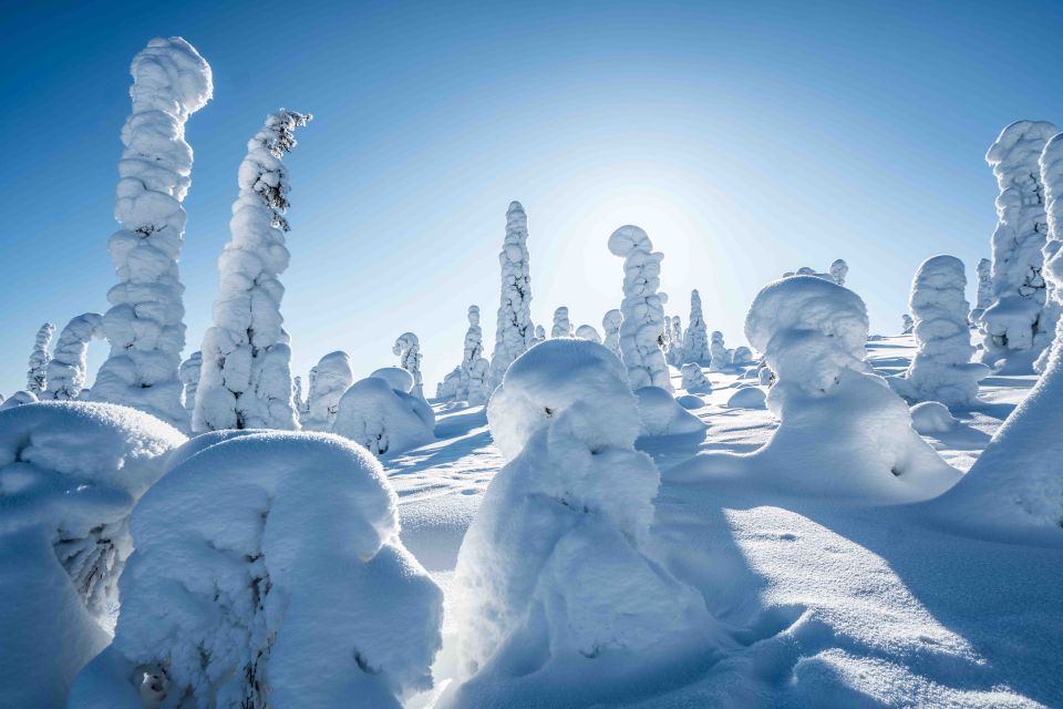 Rovaniemi: Riisitunturi National Park with Pro Photos & BBQ - What’s Included (and Why That Changes the Value)