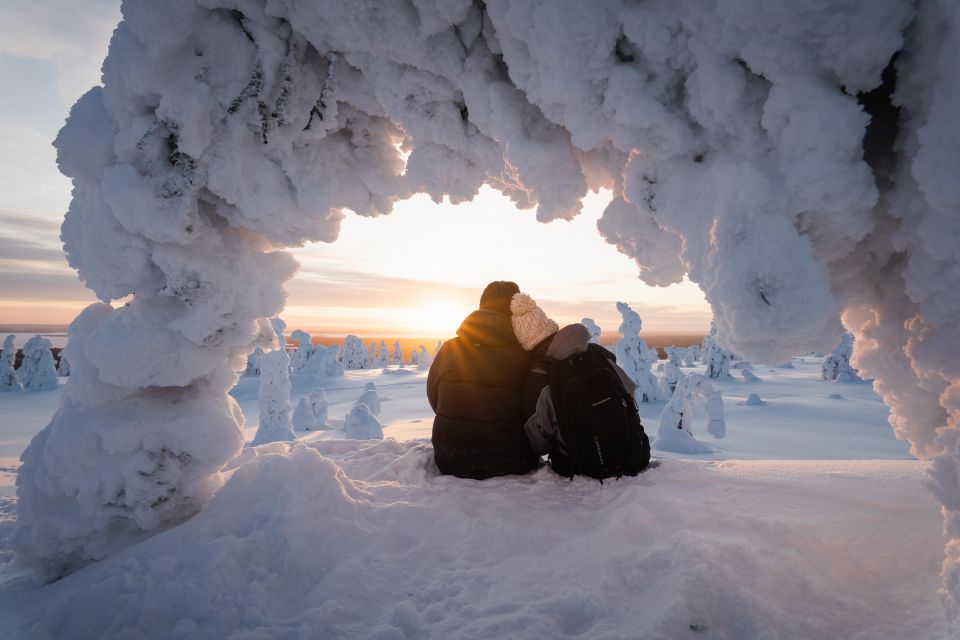 Rovaniemi: Riisitunturi National Park with Pro Photos & BBQ - Who This Tour Fits Best (and When to Pass)