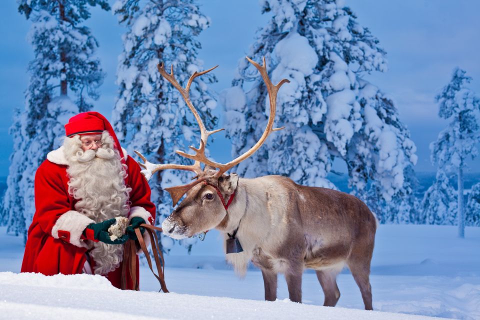 Rovaniemi: Santa Claus Village and Arctic Circle - Buffet lunch included: warmth, timing, and value