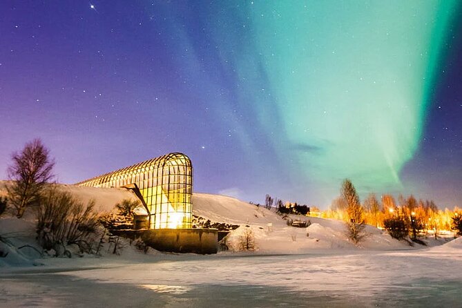 Rovaniemi Santa Claus Village Husky Reindeer Farm Arctic Museum - Ounasvaara Winter Trail: the best way to start your Lapland day
