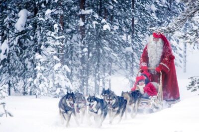 Rovaniemi Santa Claus Village Husky Reindeer Farm Arctic Museum - Husky and reindeer rides: how to get the most out of the farm time