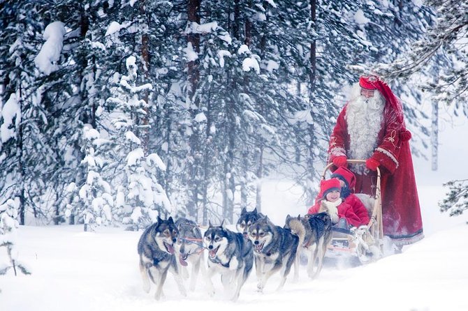 Rovaniemi Santa Claus Village Husky Reindeer Farm Arctic Museum - Husky and reindeer rides: how to get the most out of the farm time