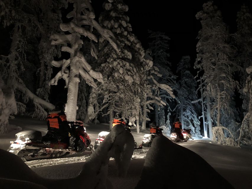 Rovaniemi: Search for Northern Lights Snowmobiling Trip - Should You Book This Northern Lights Snowmobiling Trip