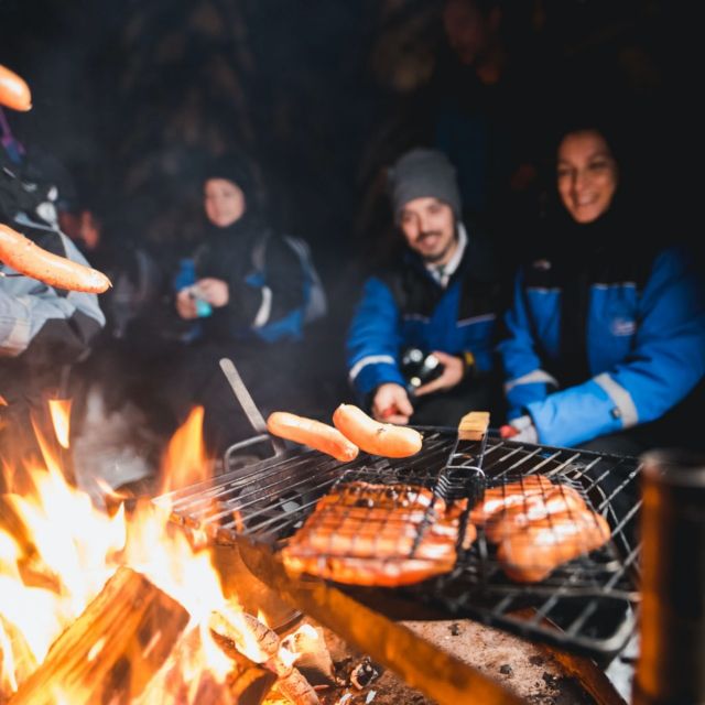 Rovaniemi: Search for Northern Lights Snowmobiling Trip - Wild Nordic Safari Center Start: Gear, Safety, and Getting Rolling