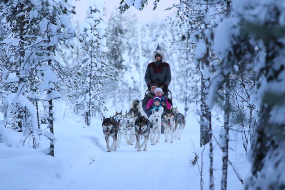 Rovaniemi: Self-Drive Husky Sleigh Ride Adventure - Who Should Book This Husky Adventure?