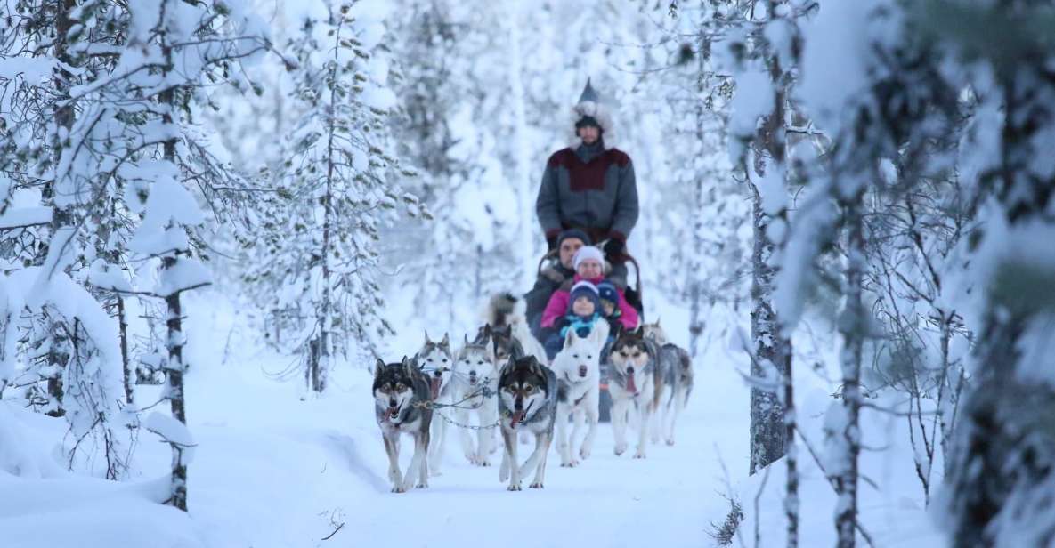 Rovaniemi: Self-Drive Husky Sleigh Ride Adventure - Musher Briefing: How You Actually Learn to Drive