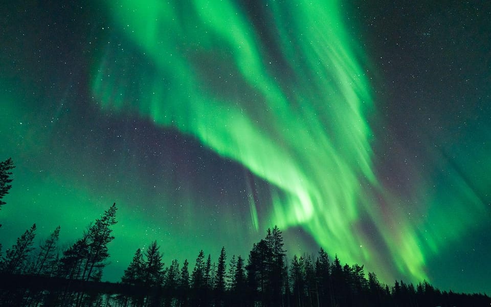 Rovaniemi: Small Group Aurora Hunt-full money back guarantee - Small-Group Aurora Hunting From Rovaniemi: What This Format Gets Right