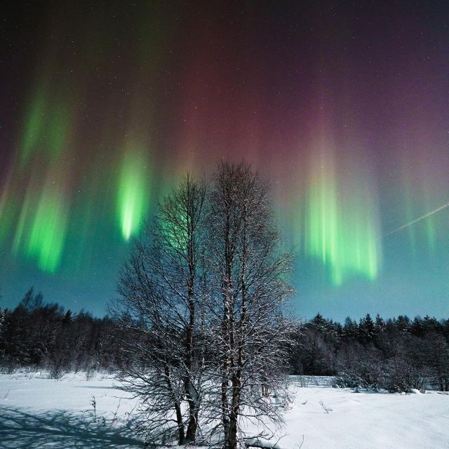 Rovaniemi: Small Group Aurora Hunt-full money back guarantee - Inside the Itinerary: Pickup, Lapland Roads, Multiple Stops, Then Back to Rovaniemi