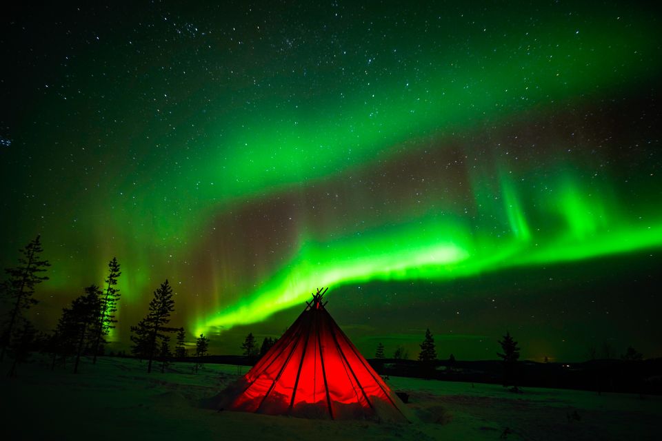 Rovaniemi: Small-Group Northern Lights Wilderness Tour - Key things that make this tour work