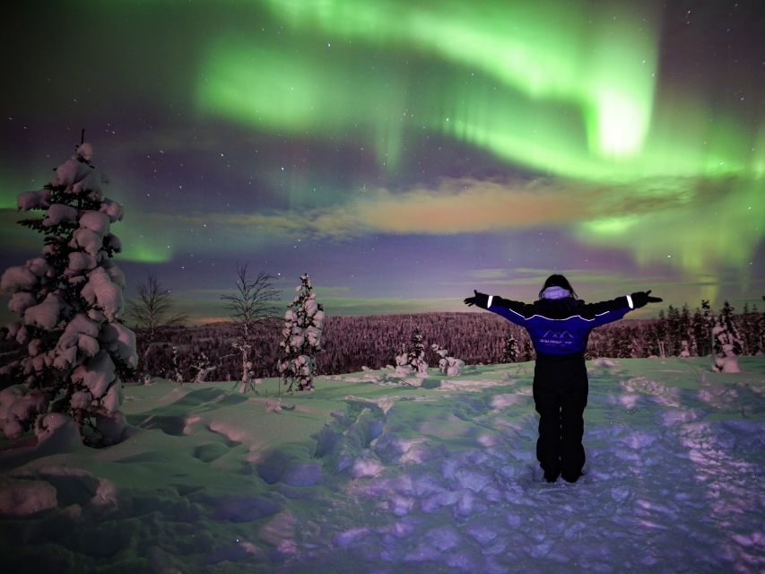Rovaniemi: Small-Group Northern Lights Wilderness Tour - Northern Lights in Rovaniemi, with up to 3 wilderness stops