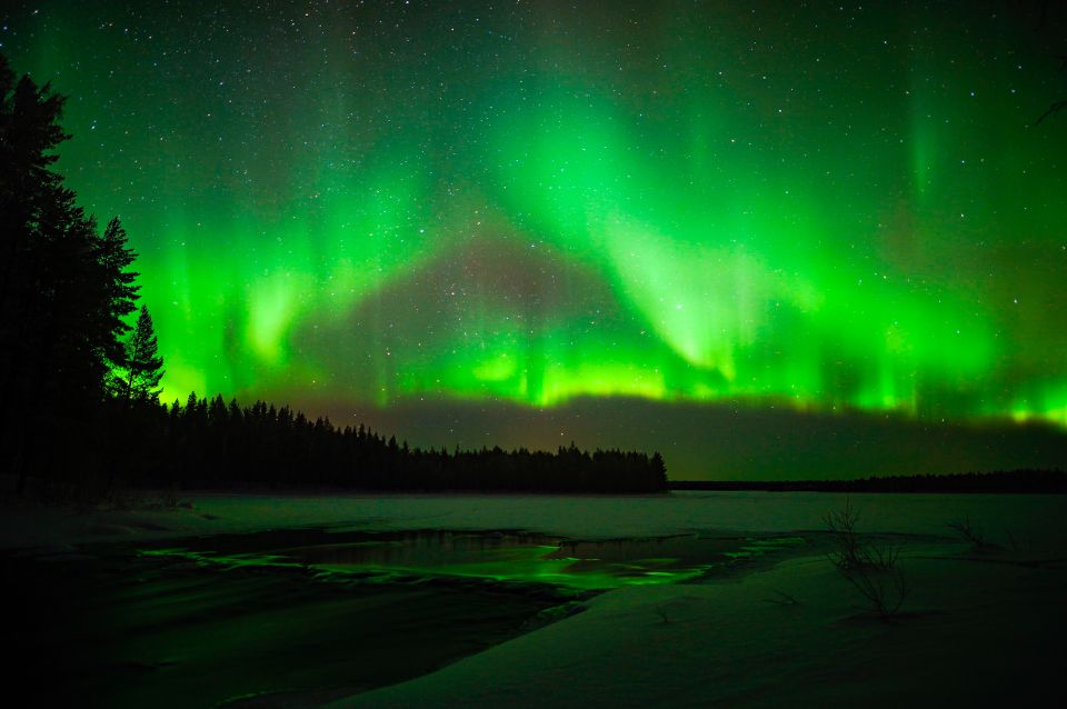 Rovaniemi: Small-Group Northern Lights Wilderness Tour - Pickup and meeting in Rovaniemi: where you start matters