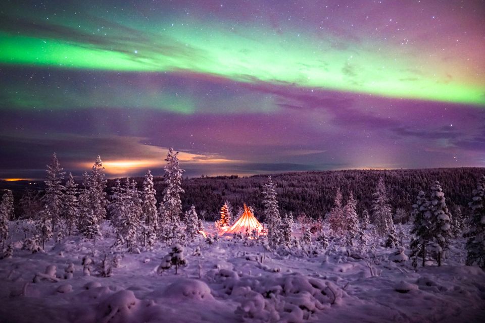 Rovaniemi: Small-Group Northern Lights Wilderness Tour - Small group (max 8) and why fewer people changes the night