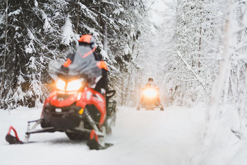 Rovaniemi: Snowmobile Adventure Tour for Adults Only - Key highlights to look for