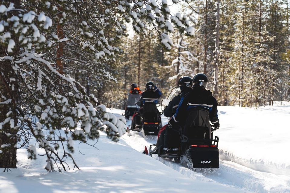 Rovaniemi: Snowmobile Adventure Tour for Adults Only - Why this adult-only setup feels different in Rovaniemi