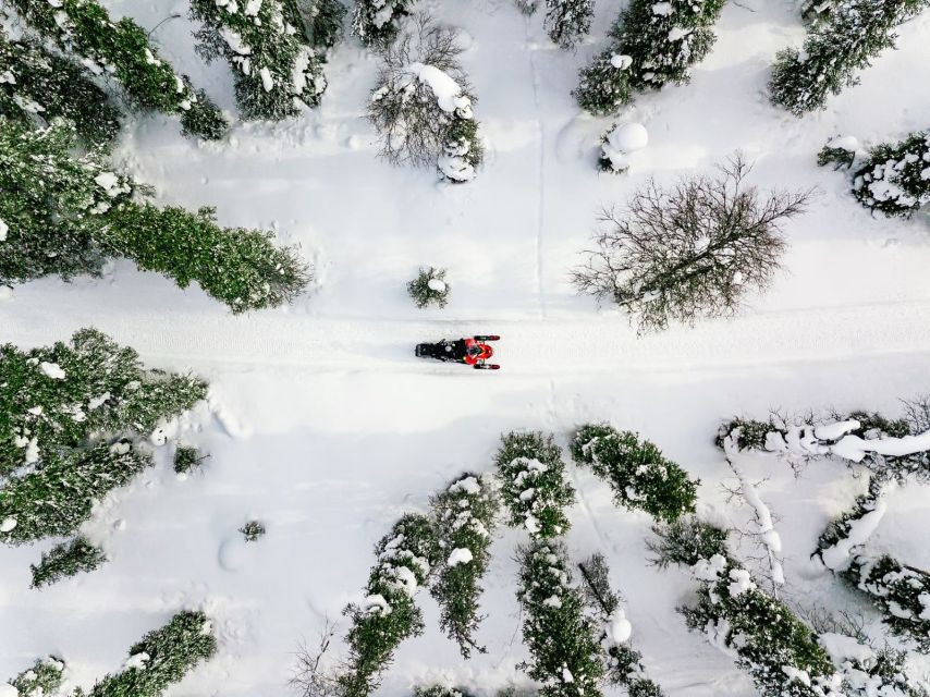 Rovaniemi: Snowmobile Safari Adventure - Why This Rovaniemi Snowmobile Safari Works in Winter