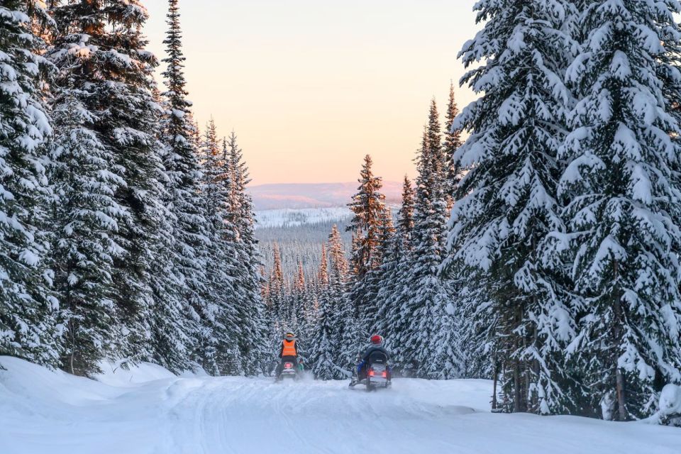 Rovaniemi: Snowmobile Safari Adventure - The Ride Itself: Forest Tracks, Arctic Silence, and Frozen Water