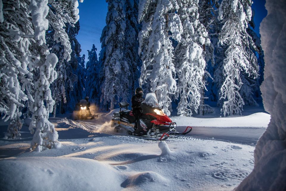Rovaniemi: Snowmobile Safari & Campfire Evening Escape - Key things I’d circle on your booking