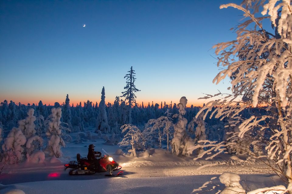 Rovaniemi: Snowmobile Safari & Campfire Evening Escape - Why This 3-Hour Night Ride Works So Well in Rovaniemi