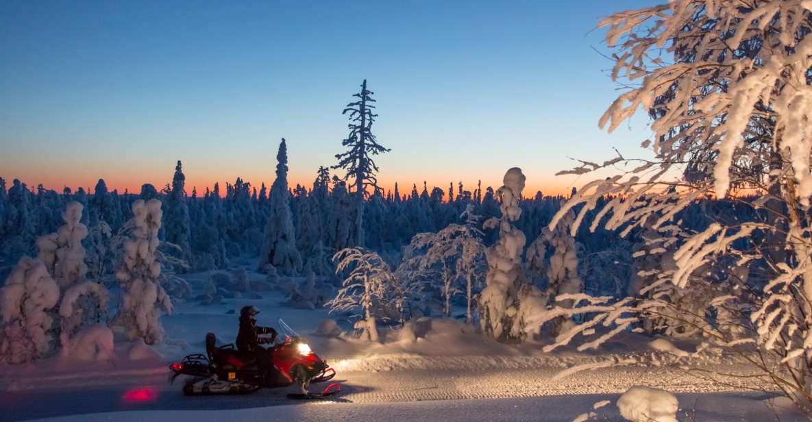 Rovaniemi: Snowmobile Safari & Campfire Evening Escape - Value for the Price: Is $175 Worth It?