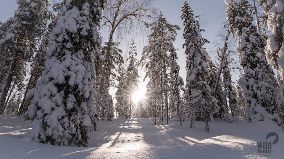 Rovaniemi: Snowmobile Safari into the Arctic Circle Forest - Who should book this safari (and who should skip)