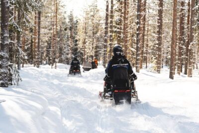 Rovaniemi: Snowmobile Safari into the Arctic Circle Forest - Wild Nordic Safari Center first: how the experience starts smoothly