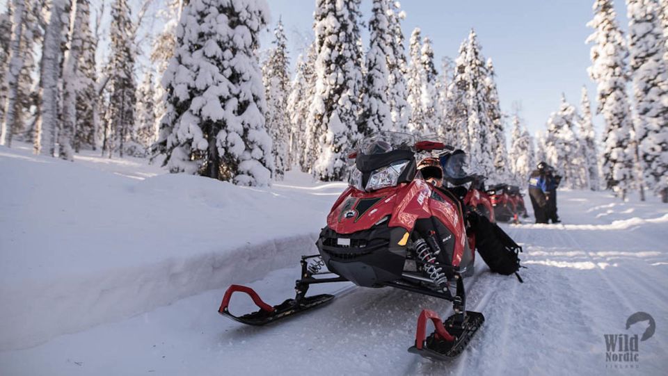 Rovaniemi: Snowmobile Safari into the Arctic Circle Forest - Family setup in Lapland: kids on the sled, adults on the snowmobile