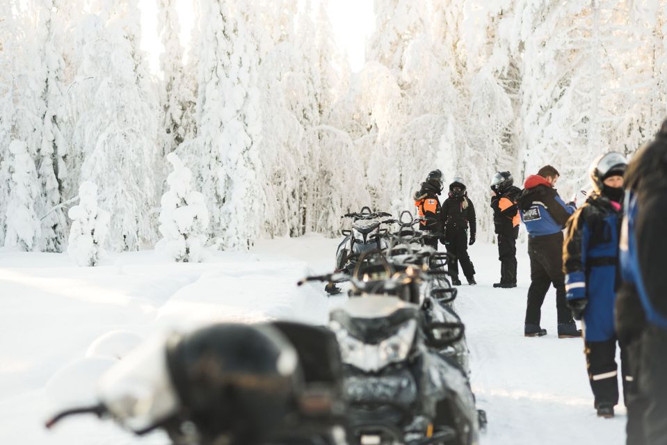 Rovaniemi: Snowmobile Safari into the Arctic Circle Forest - Timing and getting the most out of 2 hours in winter