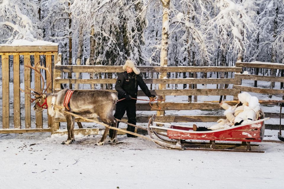 Rovaniemi: Snowmobile Safari, Reindeer & Husky Sleigh Ride - How Much Value Is $281 for 4.5 Hours?