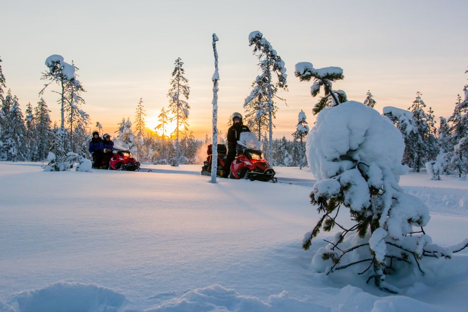 Rovaniemi: Snowmobile Safari to a Reindeer Farm - Key Highlights Worth Noting