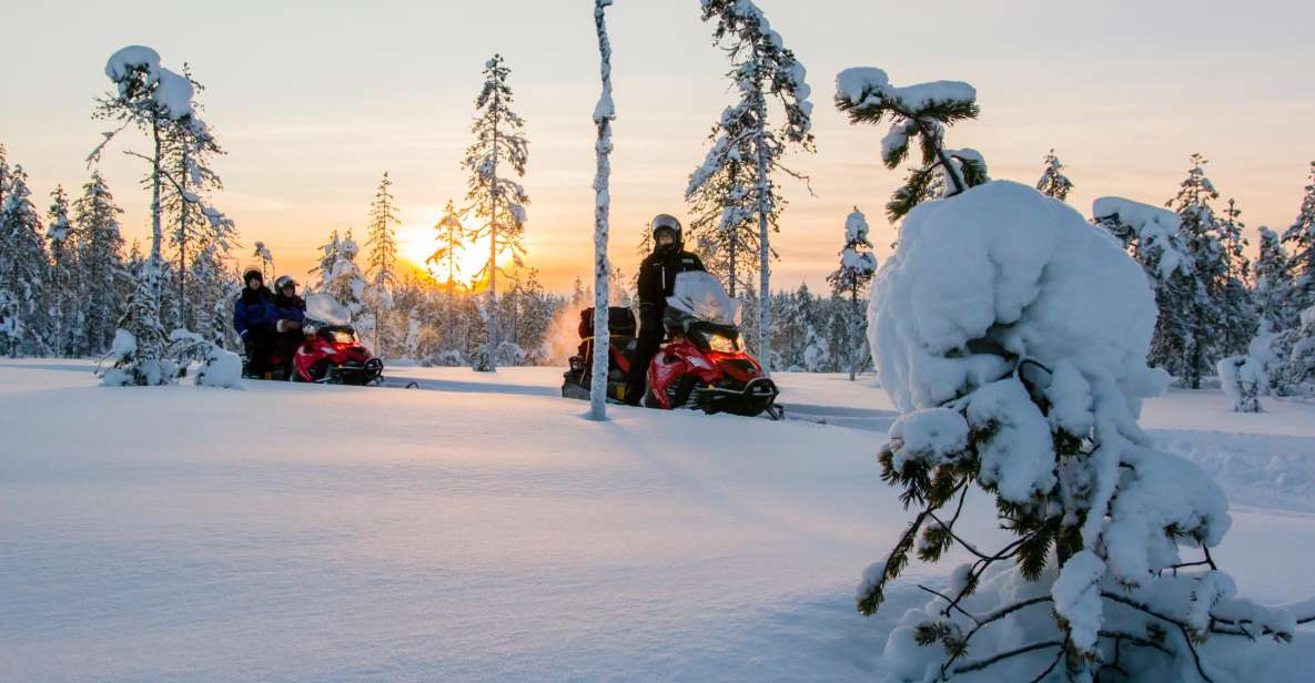 Rovaniemi: Snowmobile Safari to a Reindeer Farm - Snowmobile Time: Instructions, Pairing, and What You Really Need to Know