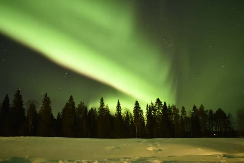 Rovaniemi: Snowtrain to Northern Lights Camp - Bonfire Snacks and Arctic Stories in the Hidden Hut
