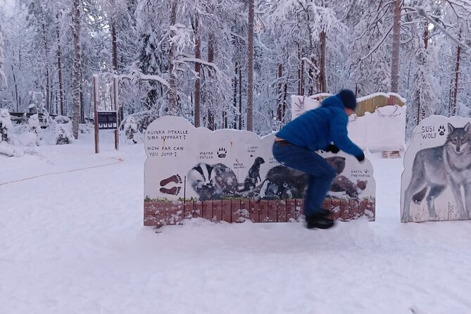 Rovaniemi: Trip to Ranua Zoo with Tickets Included - The big animal payoff: what you can realistically expect to see