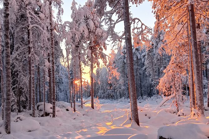 Rovaniemi: Trip to Ranua Zoo with Tickets Included - Transportation value: why the pickup-and-drive model works
