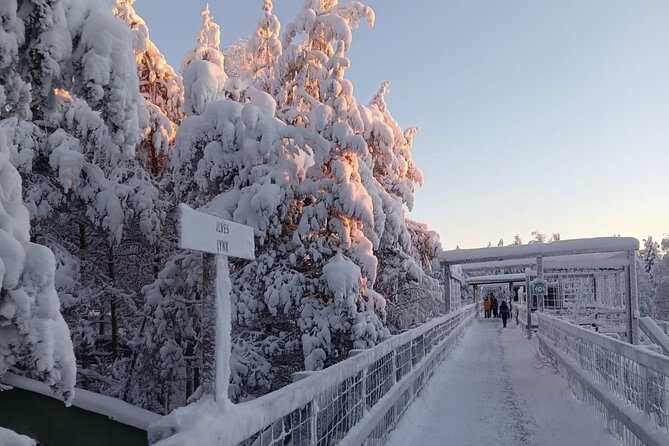 Rovaniemi: Trip to Ranua Zoo with Tickets Included - Group size and the “small day” feel