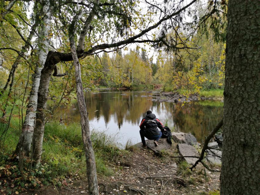 Rovaniemi: Vaattunki Hiking Arctic Circle Trail - Key Points To Know Before You Go